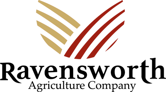 Ravensworth Hillston Long Sleeve Shirt - Dorset - Ltd