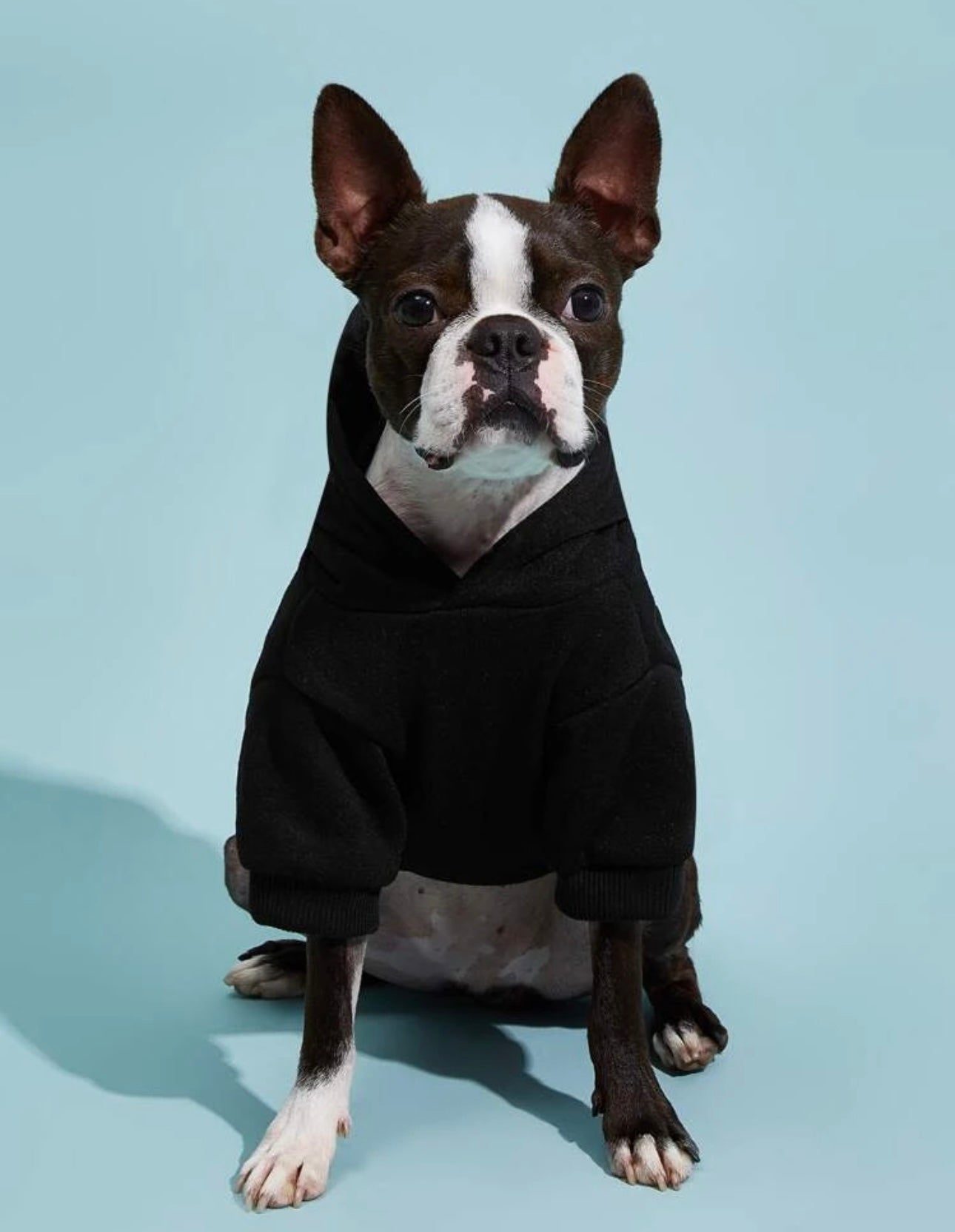 Pet Hoodie