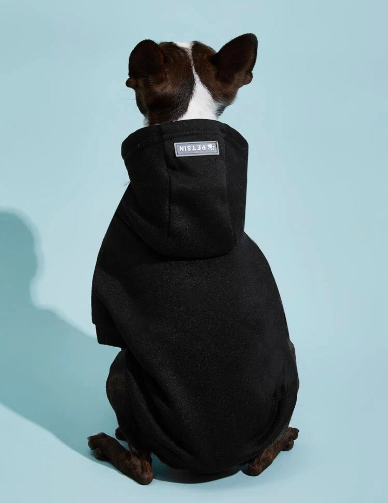 Pet Hoodie