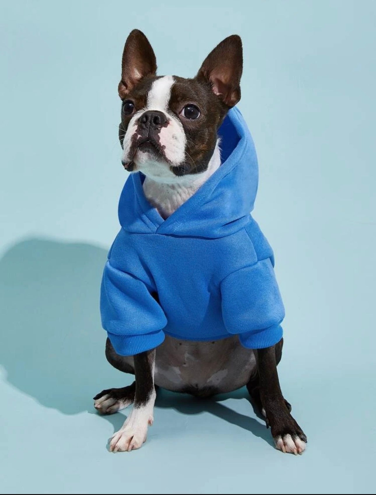 Pet Hoodie