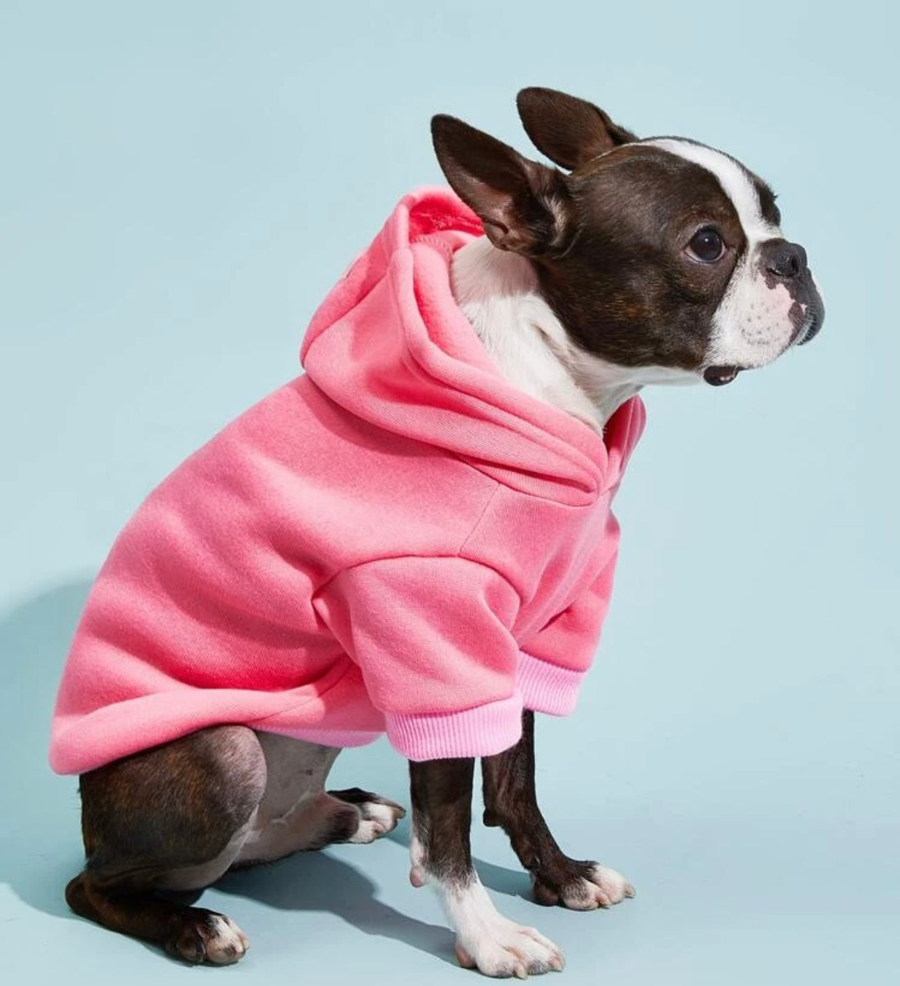 Pet Hoodie