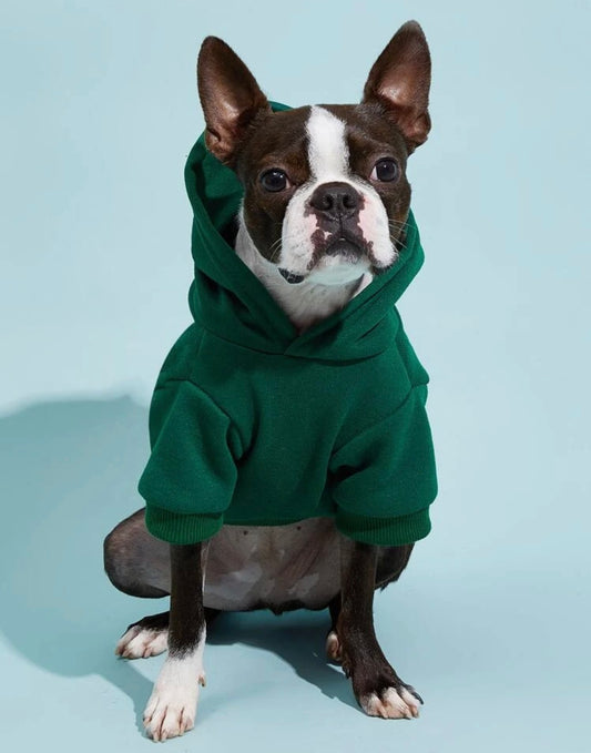 Pet Hoodie