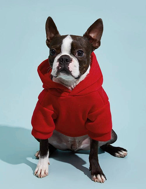 Pet Hoodie